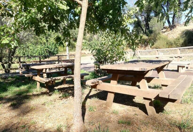 Одноместный Номер Basic, Mondalva   Guest House