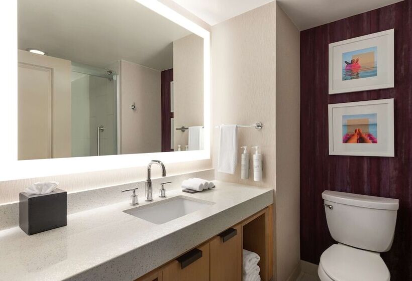 스탠다드 룸 더블 침대, Embassy Suites By Hilton Tampa Downtown Convention Center