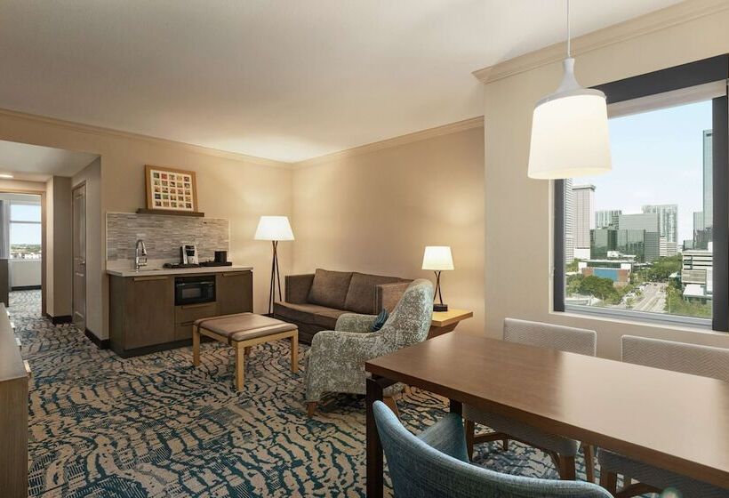 스탠다드 스튜디오 더블 침대, Embassy Suites By Hilton Tampa Downtown Convention Center