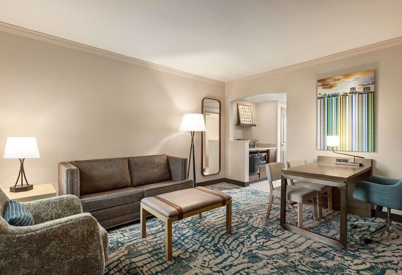 스탠다드 스튜디오 더블 침대, Embassy Suites By Hilton Tampa Downtown Convention Center