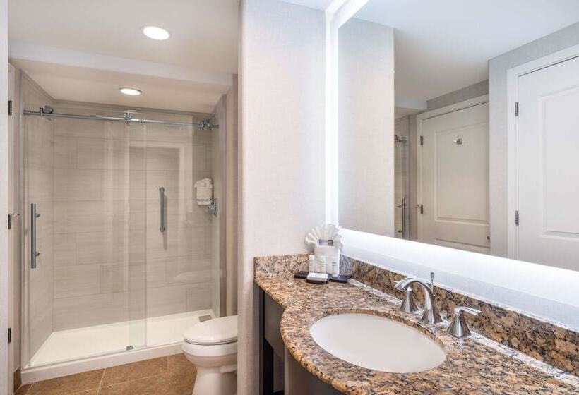 Люкс, Embassy Suites By Hilton Tucson Paloma Village