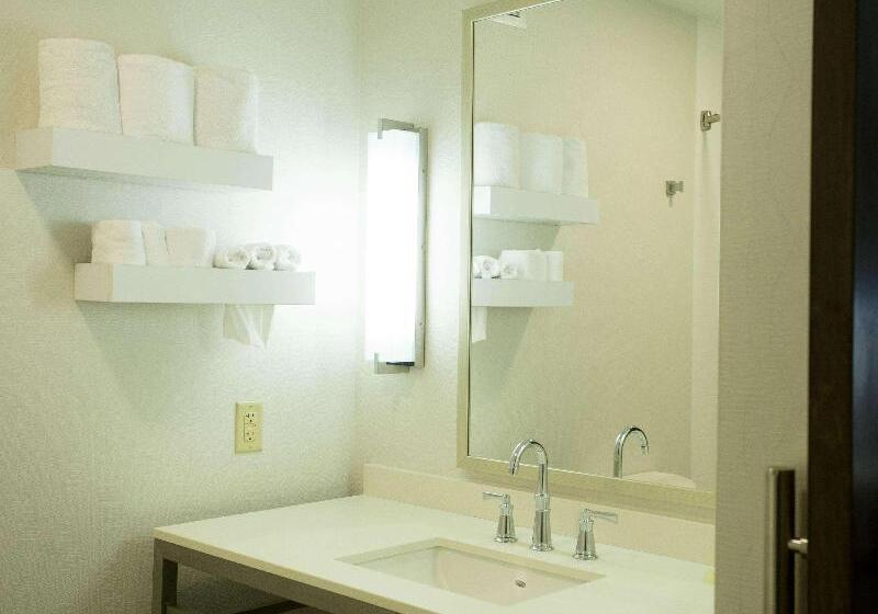Номер Премиум, Hilton Garden Inn Bentonville Rogers