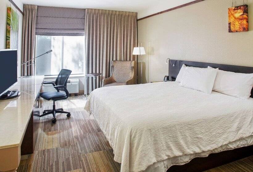 Полулюкс, Hilton Garden Inn Bentonville Rogers