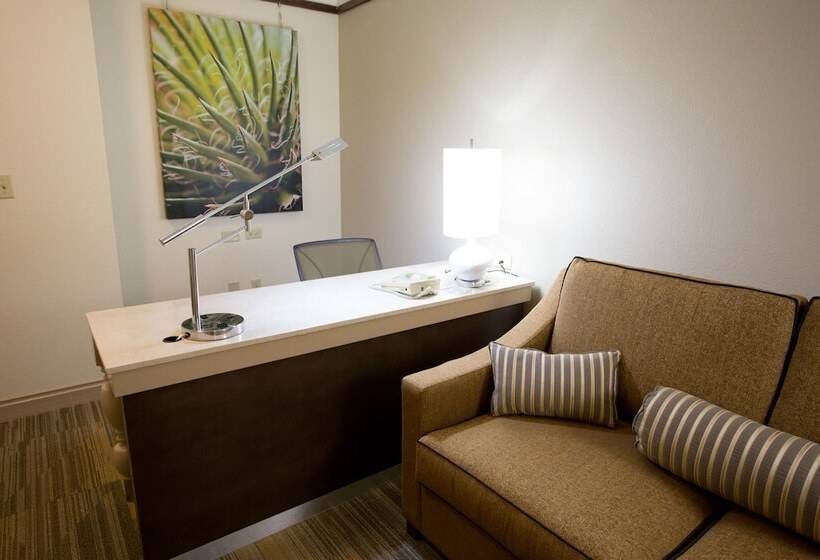 小型套房, Hilton Garden Inn Bentonville Rogers