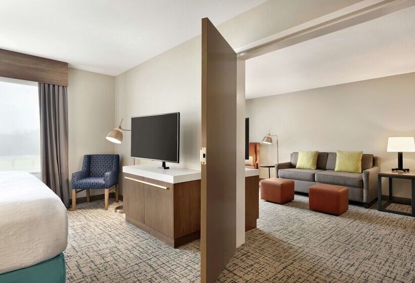 Standard Værelse Tilpasset til Handicappede, Hilton Garden Inn Dubuque Downtown