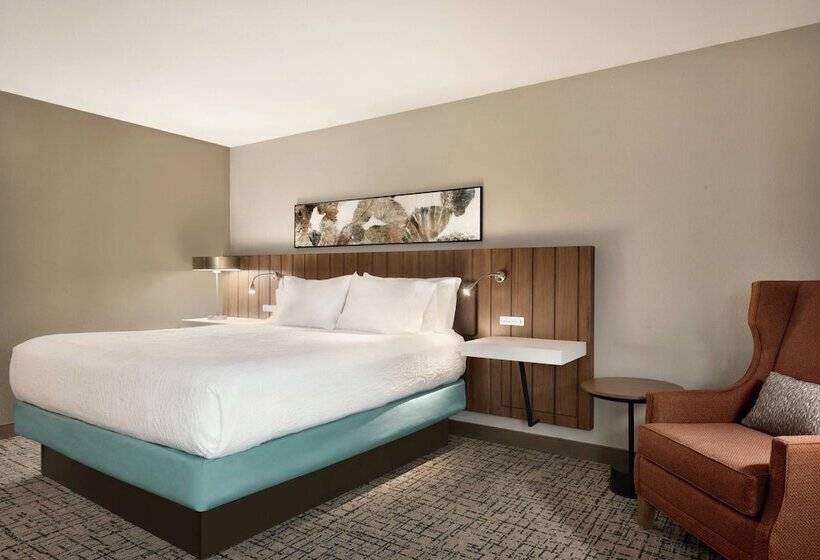 장애인을 위한 스탠다드 룸, Hilton Garden Inn Dubuque Downtown