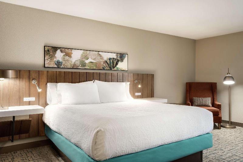 Standard Værelse King Size Seng, Hilton Garden Inn Dubuque Downtown