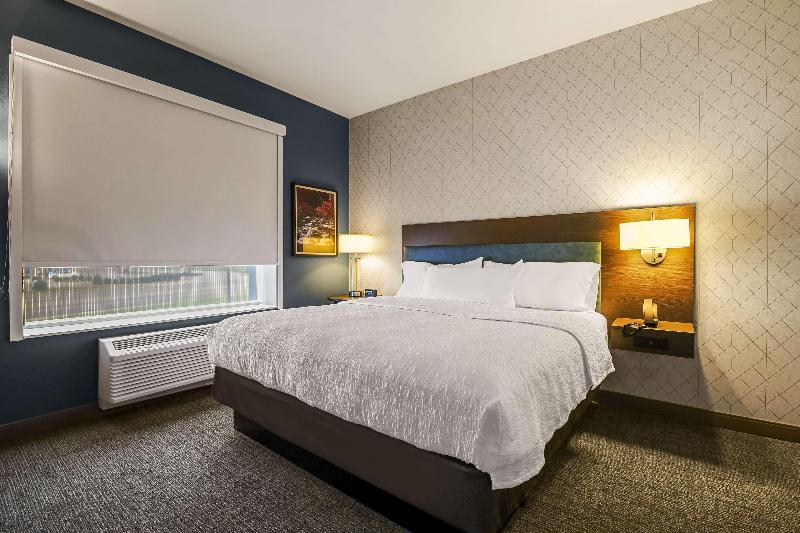Standard Værelse King-seng Tilpasset til Handicappede, Hilton Garden Inn Dubuque Downtown