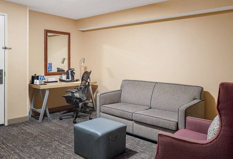 스위트, Hilton Garden Inn Fredericksburg