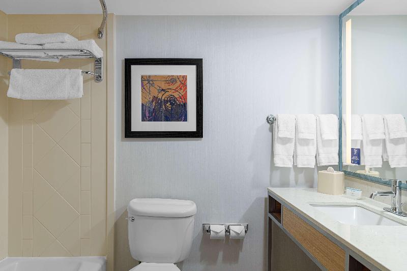 프리미엄 룸, Hilton Garden Inn Fredericksburg