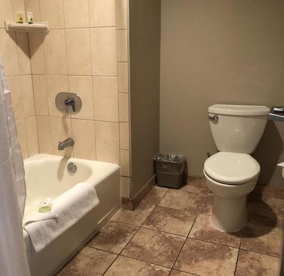 带大床的标准间, Shilo Inn Killeen
