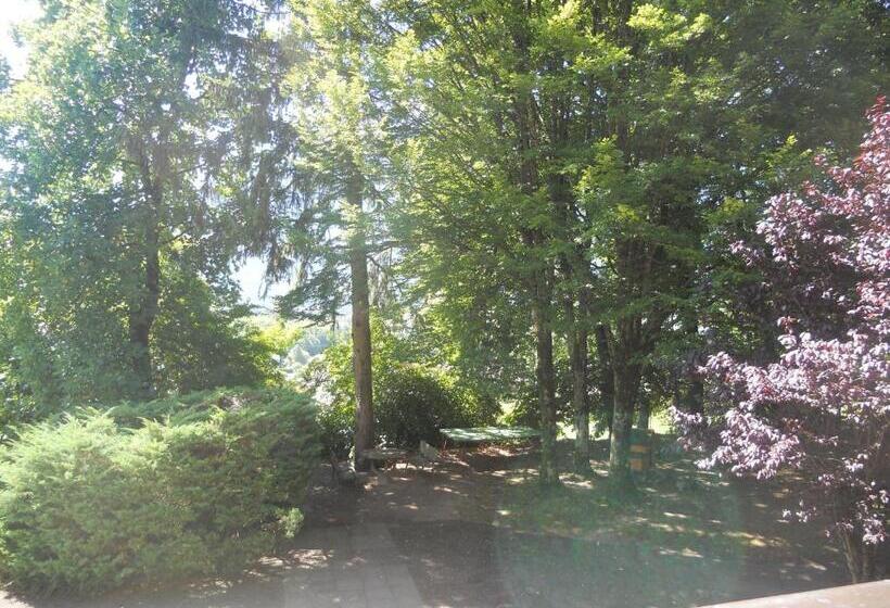 Номер Стандарт Трехместный, Bellevue
