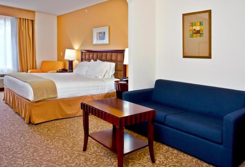 Люкс Кровать Кинг, Holiday Inn Express Hotel & Suites Brooksville I 75, An Ihg