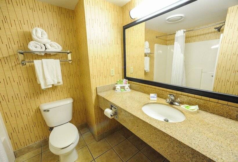 Люкс, Holiday Inn Express Hotel & Suites Bowling Green, An Ihg
