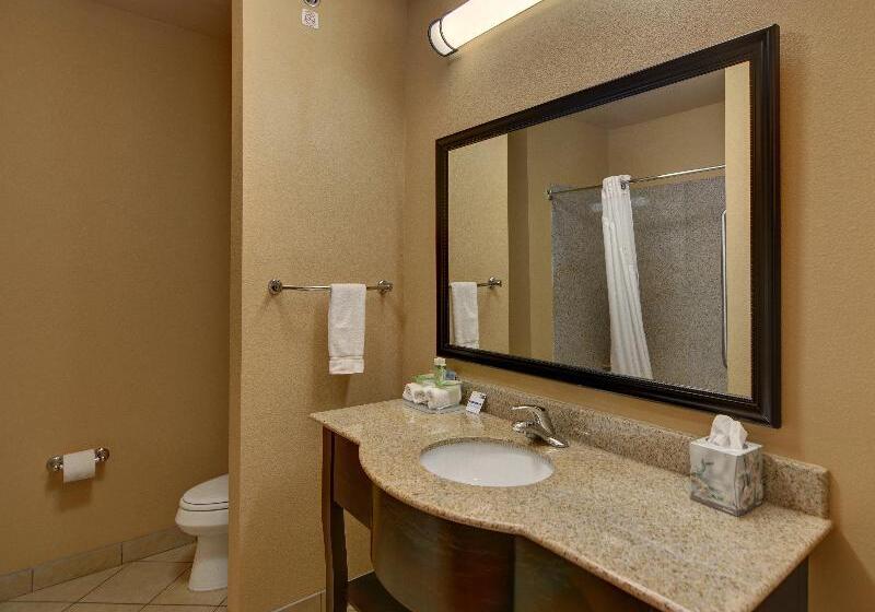 Стандартный Номер Кровать Кинг, Holiday Inn Express Hotel And Suites Altus, An Ihg