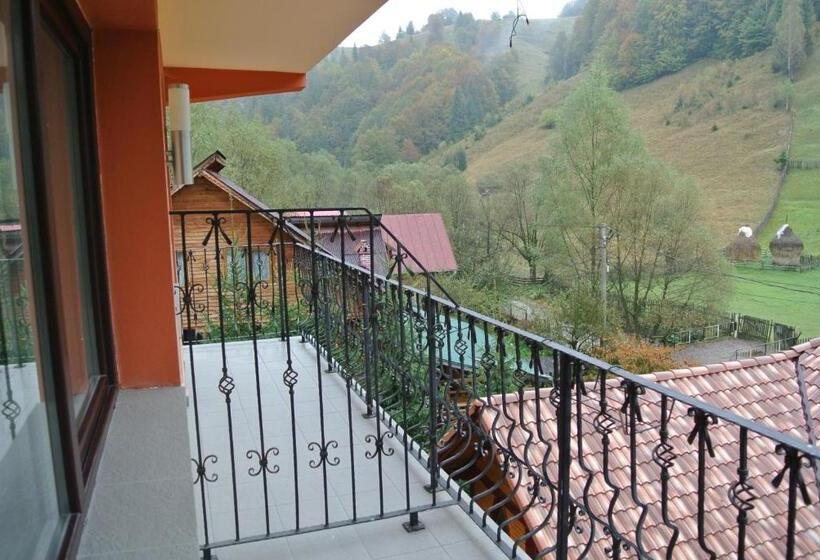 스탠다드 룸 킹사이즈 침대, Pensiune Restaurant Piatra Craiului