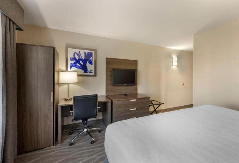 Pokój Standard Łóżko King Size, Best Western Plus Nashville Airport Hotel   Bna