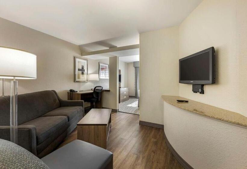 Executive Suite King Bed, Best Western Plus Nashville Airport Hotel   Bna