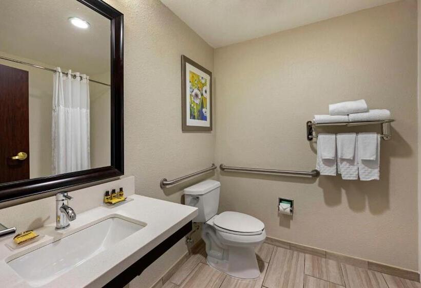 Pokój Typu Standard Łóżko King Przystosowany dla Osób Niepełnosprawnych, Best Western Plus Nashville Airport Hotel   Bna