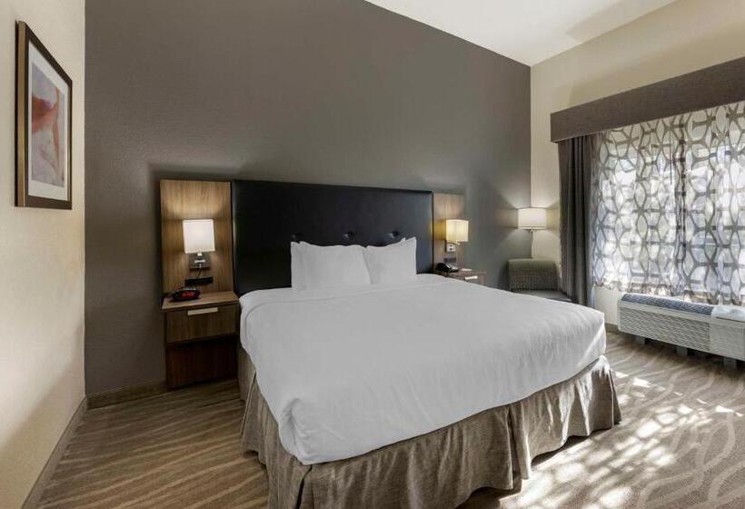 Pokój Typu Standard Łóżko King Przystosowany dla Osób Niepełnosprawnych, Best Western Plus Nashville Airport Hotel   Bna
