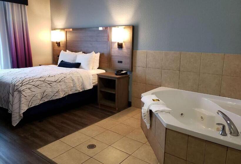 Chambre Standard Lit King Size, Best Western Plus San Antonio East Inn & Suites