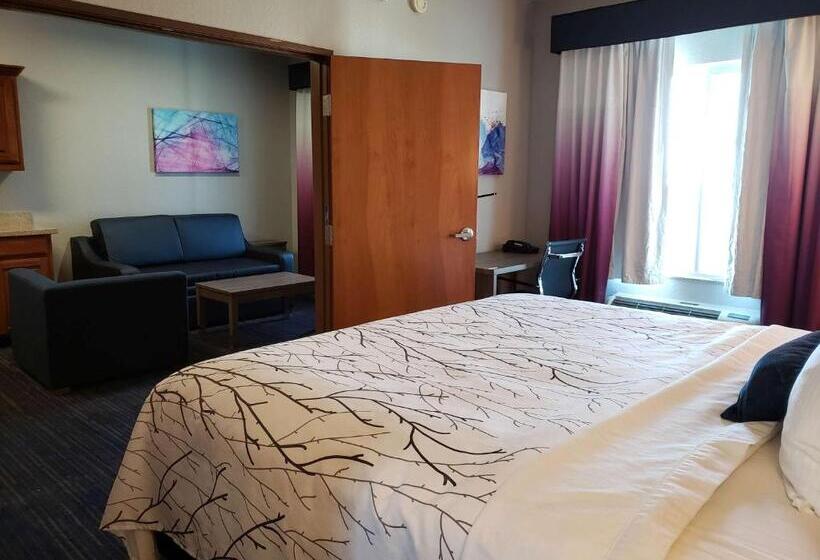 Suite Lit King, Best Western Plus San Antonio East Inn & Suites