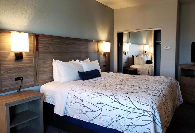 适合残疾人士使用的套间, Best Western Plus San Antonio East Inn & Suites