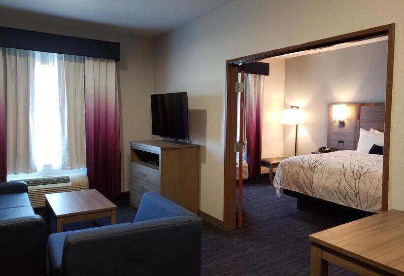 Suite Adaptée aux Personnes à Mobilité Réduite, Best Western Plus San Antonio East Inn & Suites