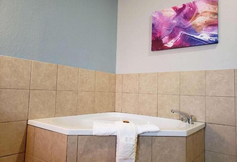 Chambre Standard Adaptée aux Personnes à Mobilité Réduite, Best Western Plus San Antonio East Inn & Suites