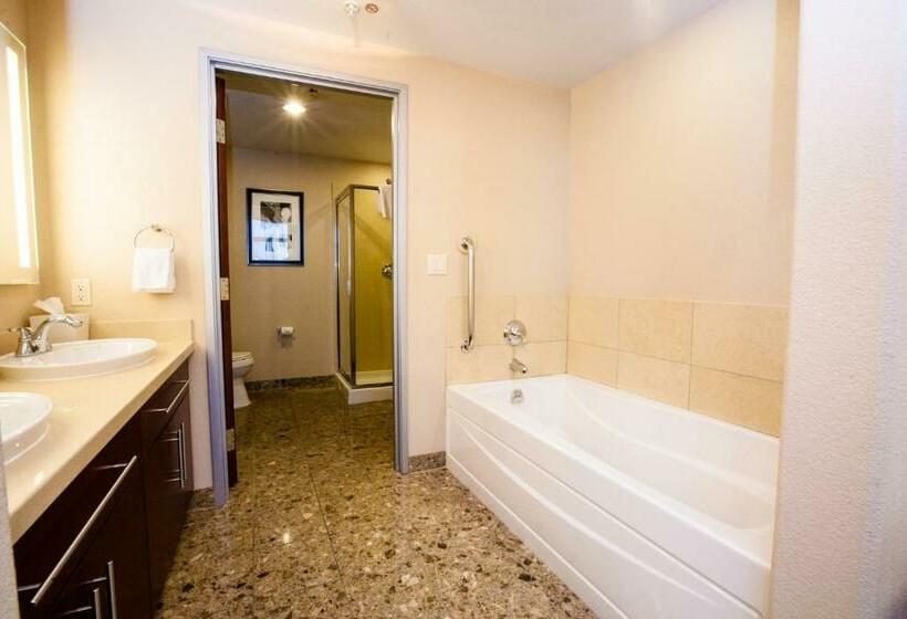 سوئیت با تخت بزرگ, Staybridge Suites Las Vegas   Stadium District