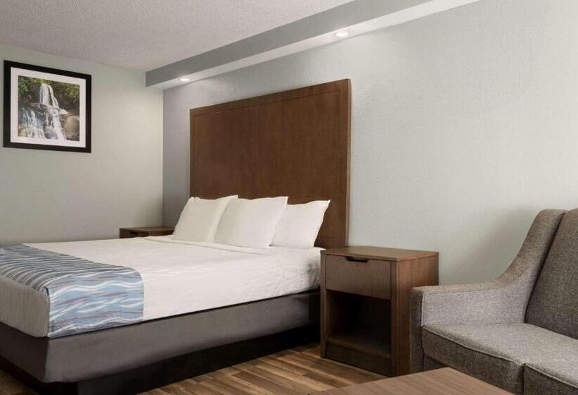 Pokój Typu Standard Łóżko King Przystosowany dla Osób Niepełnosprawnych, Gatlinburg River Inn