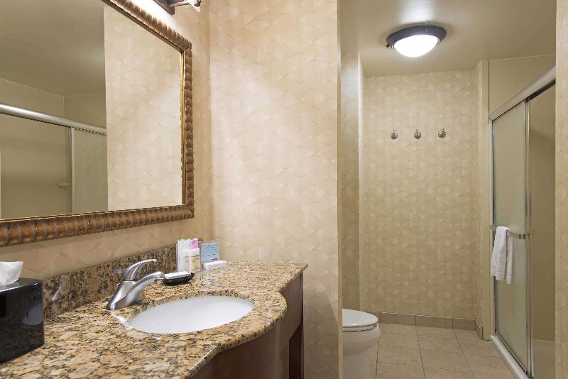 适合残疾人使用的标准间, Hampton Inn And Suites Indianapolis Fishers