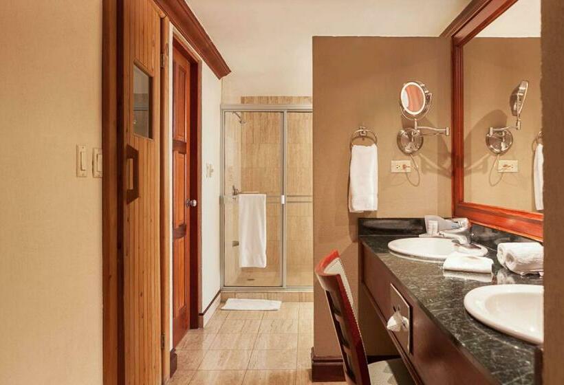 Люкс Президентский 2 Спальни, Wyndham San Jose Herradura
