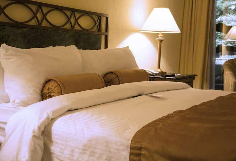 Люкс Мастер, Wyndham San Jose Herradura