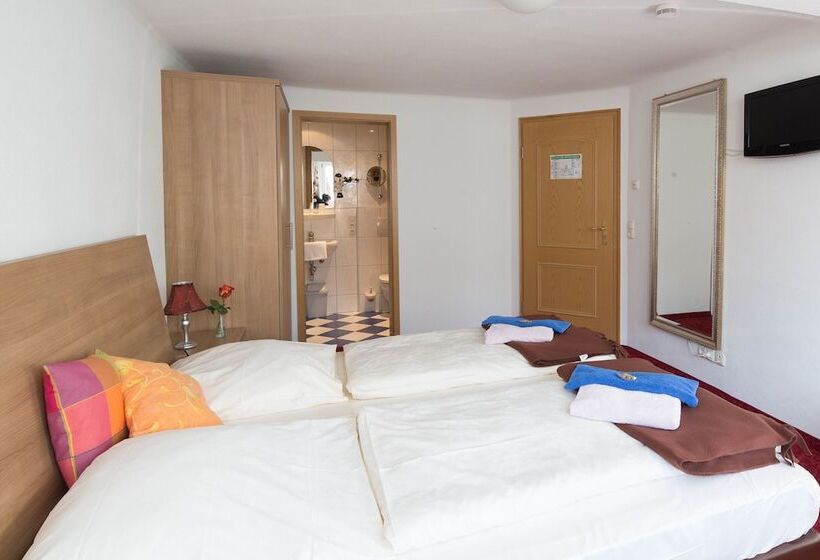 スタンダードルーム, Boutiquehotel Goldene Rose   Self Check In