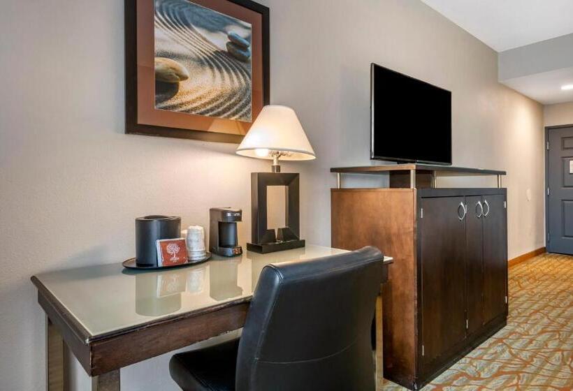חדר סטנדרט עם מיטת קינג, Best Western Plus Bradenton Gateway