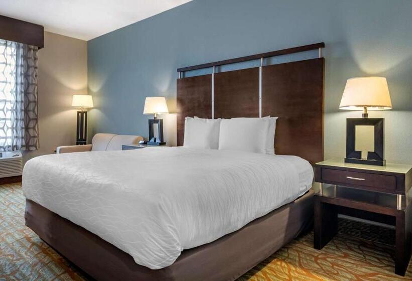 חדר סטנדרט עם מיטת קינג, Best Western Plus Bradenton Gateway