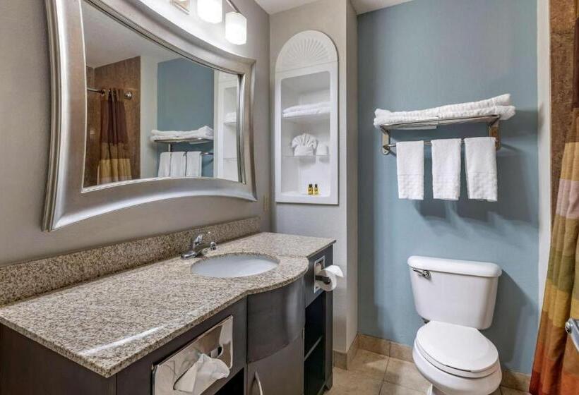 חדר סטנדרט מותאם לאדם עם מוגבלויות, Best Western Plus Bradenton Gateway
