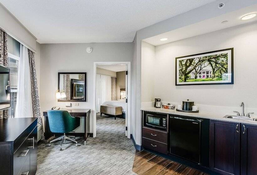 스위트, Hampton Inn & Suites Mobile  Downtown Historic District
