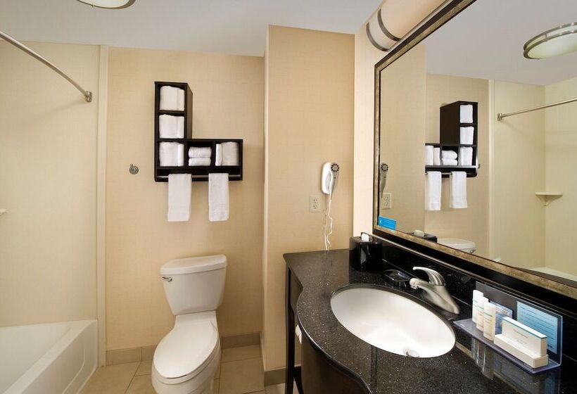 适合残疾人使用的标准间, Hampton Inn & Suites Chicago Southlandmatteson