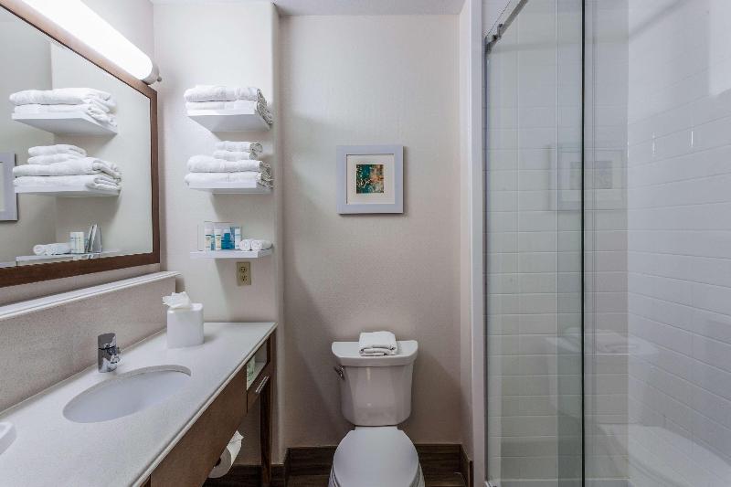 Студио Стандарт Кровать Кинг, Hampton Inn & Suites Mansfield