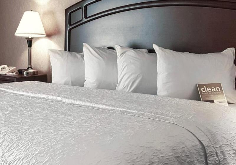 带大床的标准间, Hampton Inn & Suites By Hilton Edmonton Intl Airport