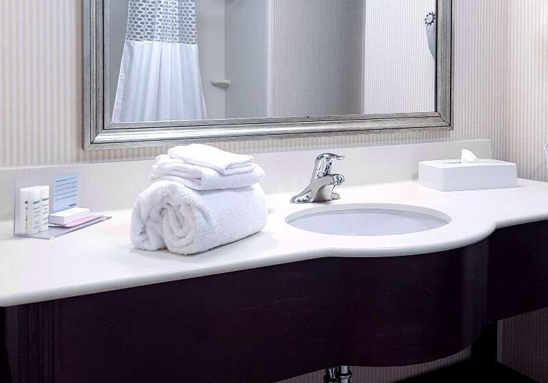 带大床的标准间, Hampton Inn & Suites By Hilton Edmonton Intl Airport