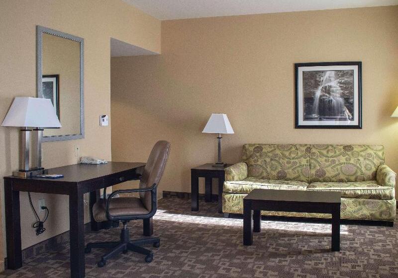 Standard Stúdiószoba Franciaággyal King Size, Hampton Inn & Suitesknoxville/north I75