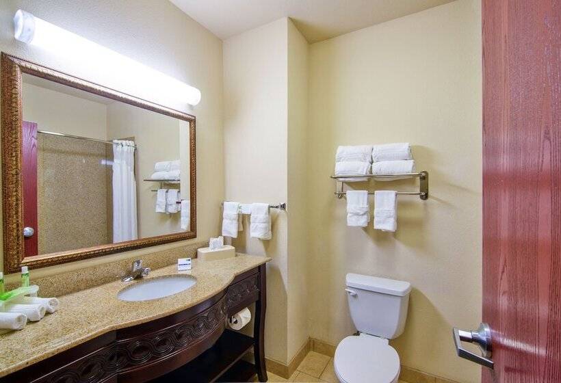 Номер Стандарт, Holiday Inn Express Hotel & Suites Terrell, An Ihg