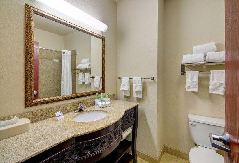 Люкс, Holiday Inn Express Hotel & Suites Terrell, An Ihg