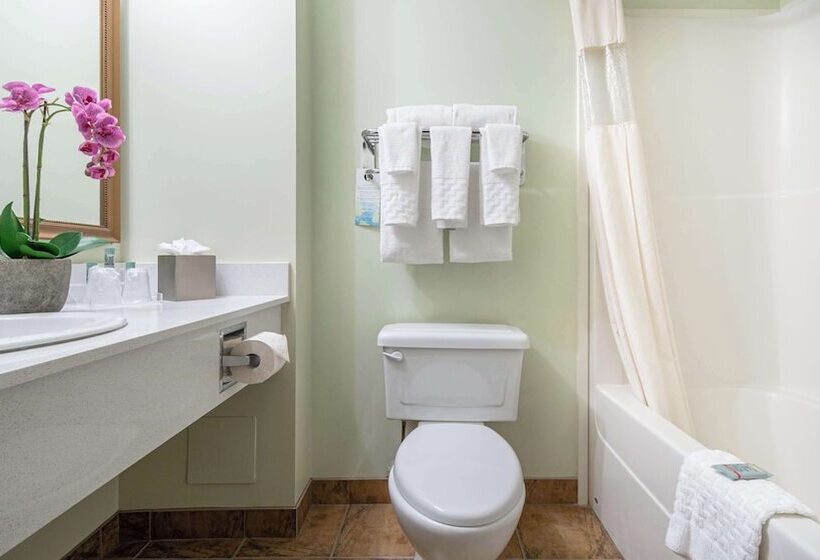 ハイドロマッサージバス付きスイート, Service Plus Inns And Suites Calgary