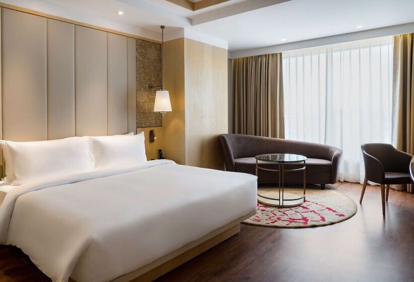 اتاق سوپریور, Radisson Bhopal
