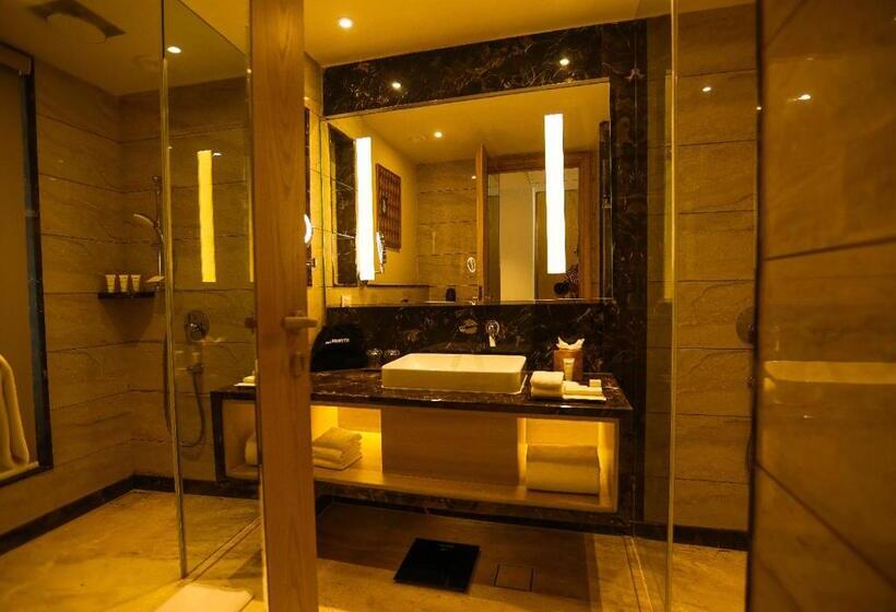 اتاق سوپریور, Radisson Bhopal