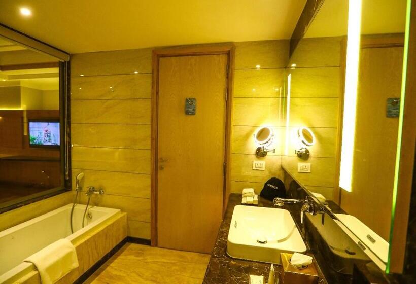 سوییت جونیور, Radisson Bhopal
